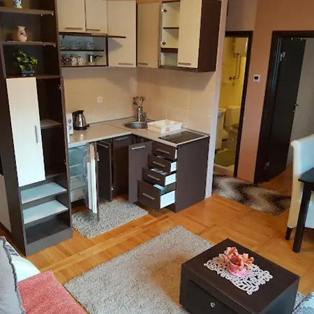 Apartment Lux Village *