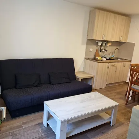 Apartment Lux Village